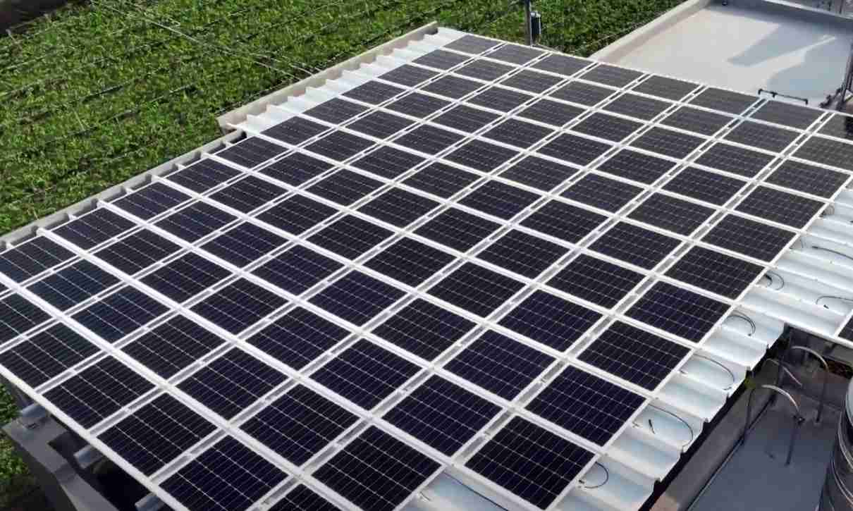 z6尊龙SunSteel光电浪板升级双玻结构，，以提升机械负载强度及气候耐候度，，，可广泛运用于多元场域